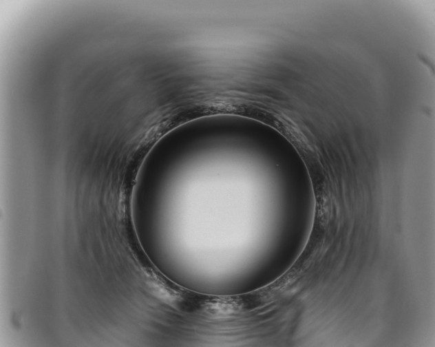 X0000094930466200711291338