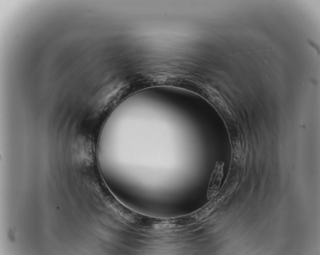 X0000094930470200711291338