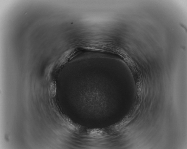 X0000094930471200711291338