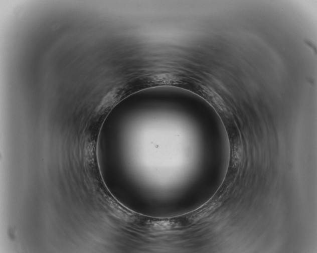 X0000094930473200711291338