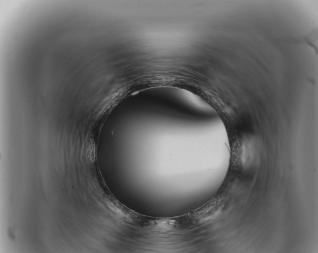 X0000094930474200711291338