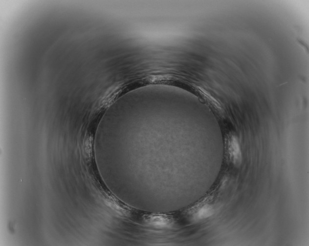 X0000094930475200711291338