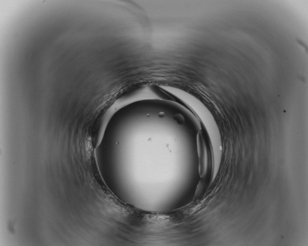 X0000094930476200711291339