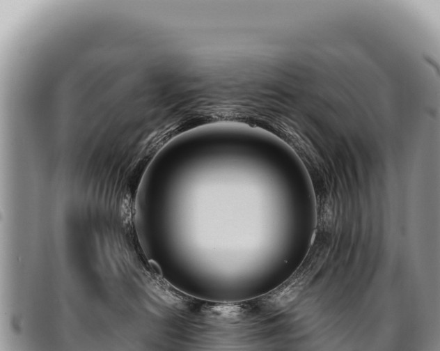 X0000094930478200711291339