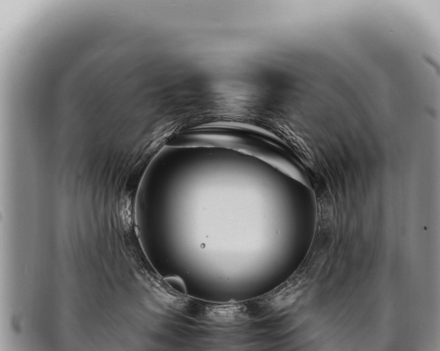 X0000094930479200711291339