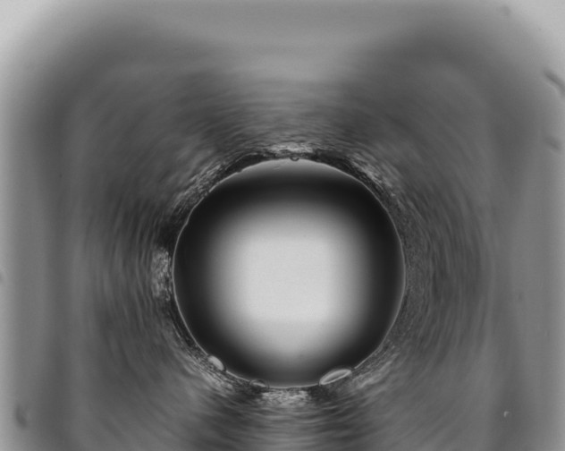 X0000094930480200711291339