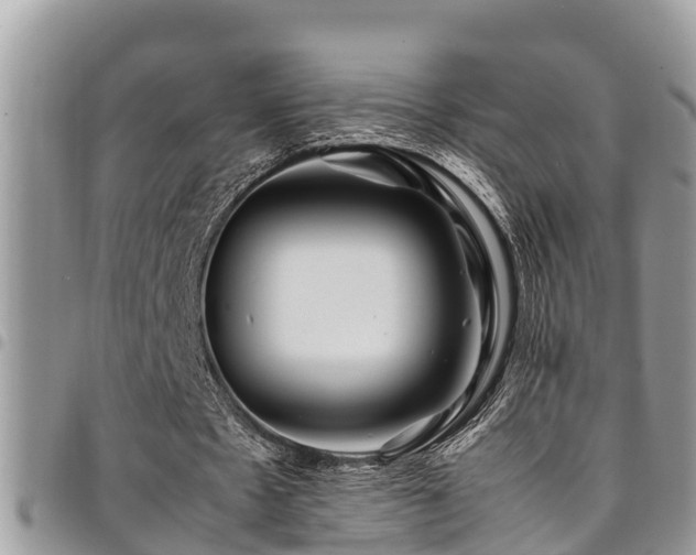 X0000094930481200711291338