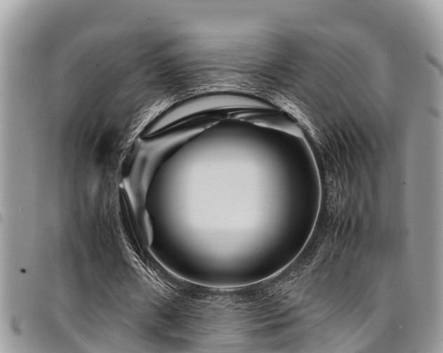 X0000094930482200711291338