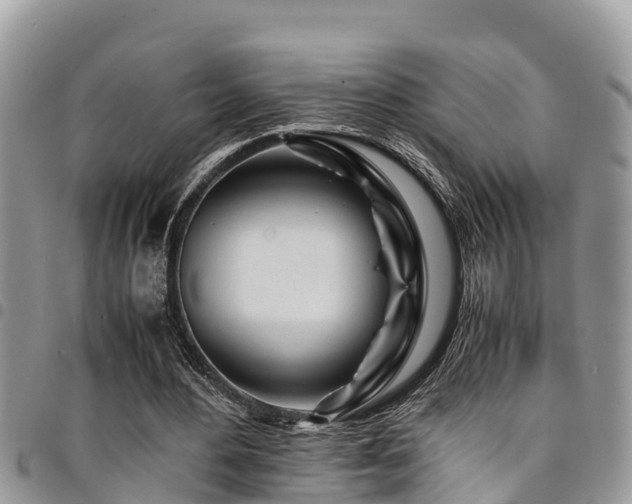 X0000094930484200711291338