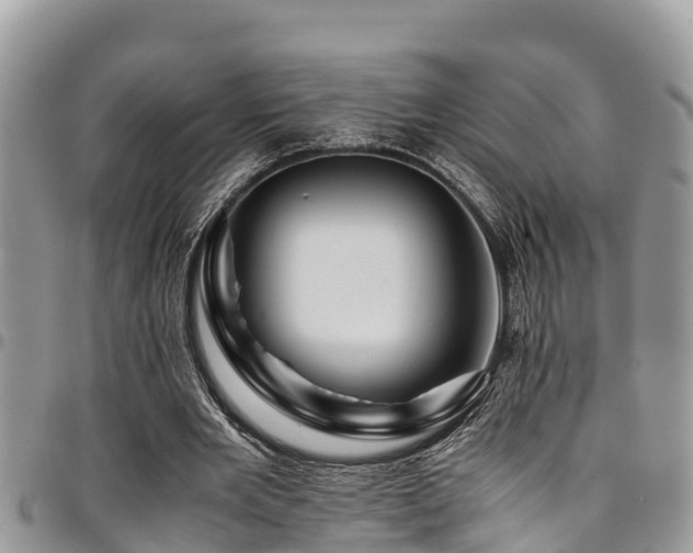 X0000094930485200711291338