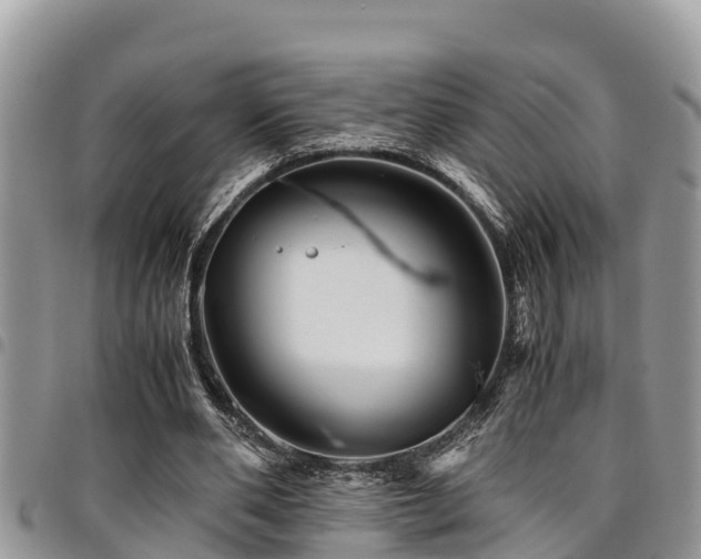 X0000094930486200711291338