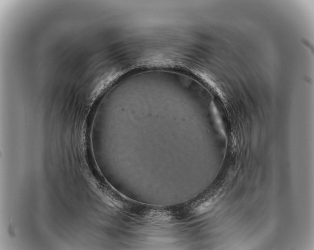 X0000094930487200711291338