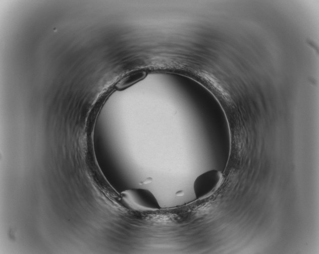 X0000094930488200711291338