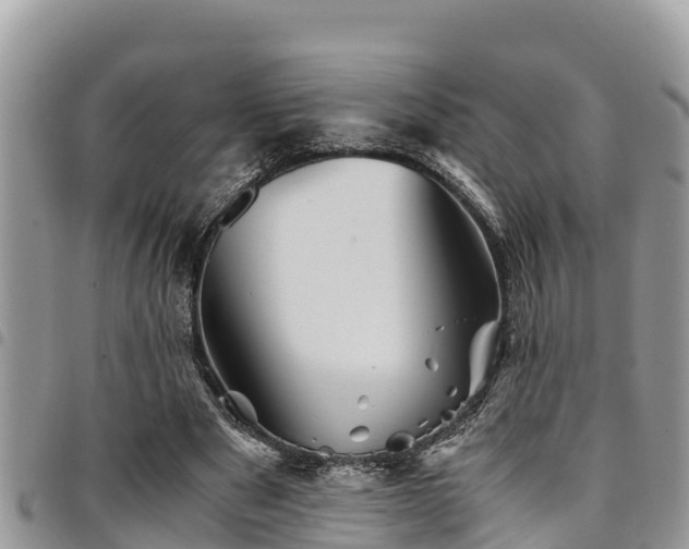 X0000094930489200711291338