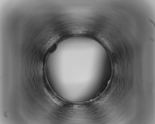 X0000094930490200711291338
