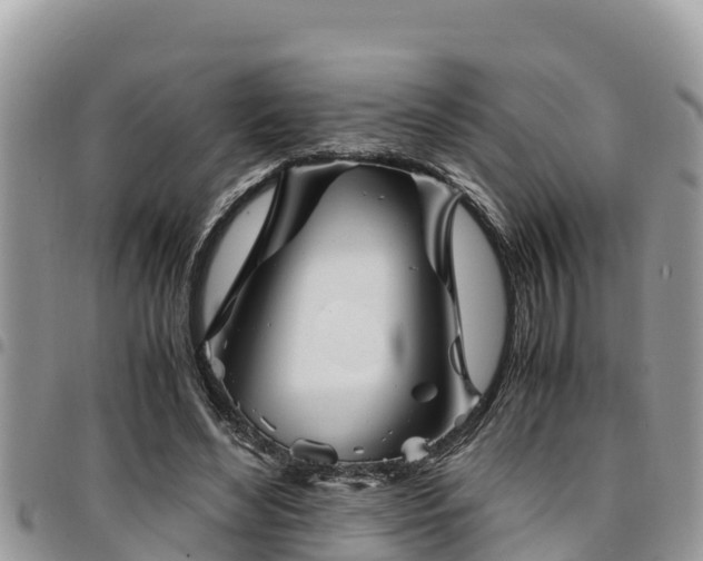 X0000094930492200711291338