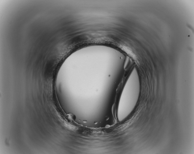 X0000094930493200711291338