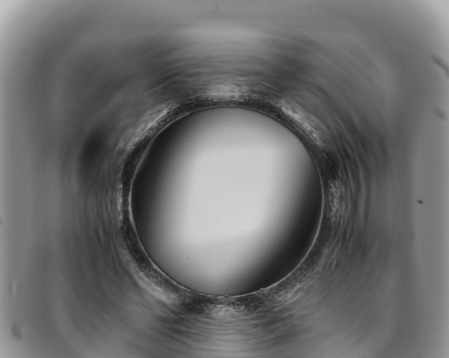 X0000094930494200711291338