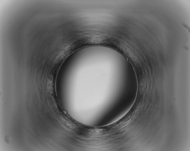 X0000094930497200711291338