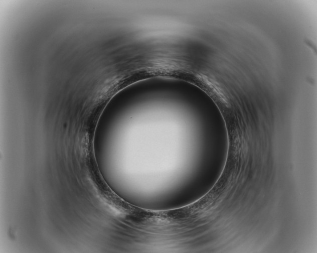 X0000094930498200711291338