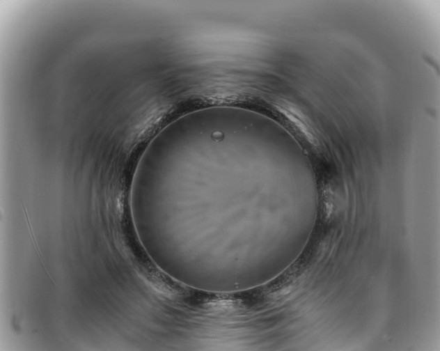 X0000094930499200711291338