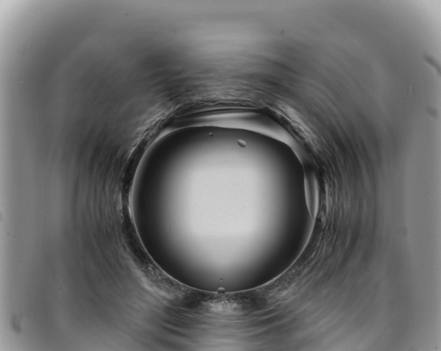 X0000094930500200711291338