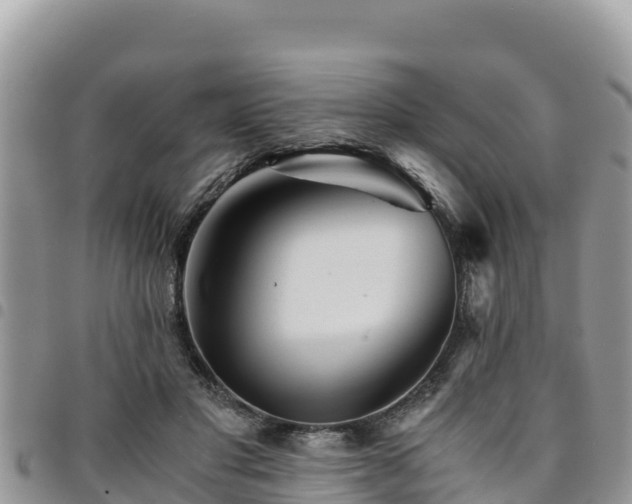 X0000094930501200711291338