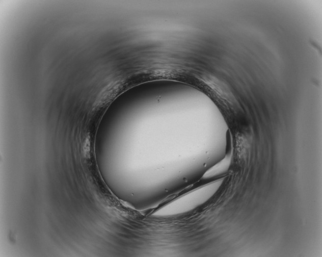 X0000094930502200711291338