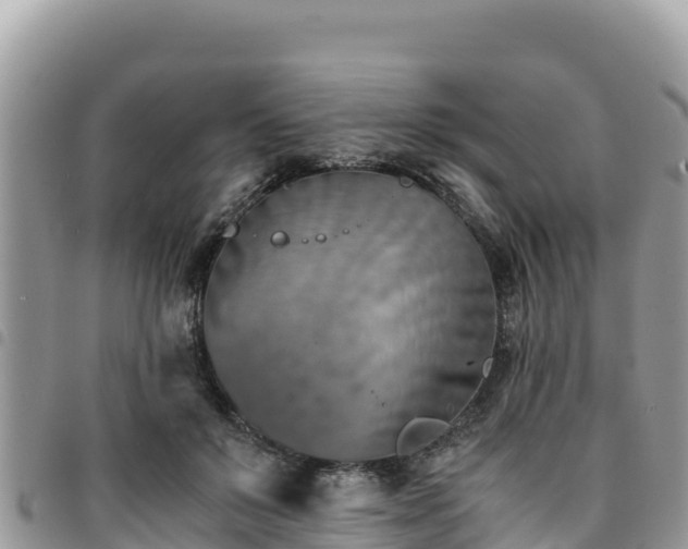 X0000094930503200711291338