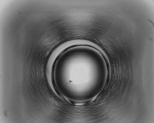 X0000094930508200711291337