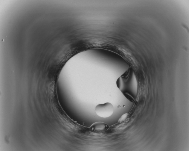 X0000094930509200711291337
