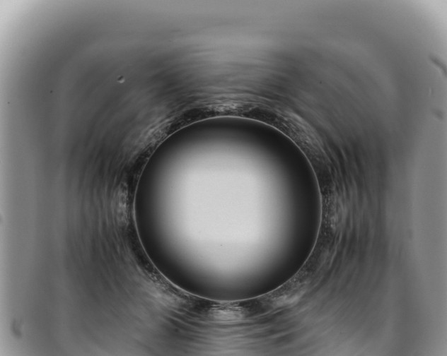 X0000094930510200711291337