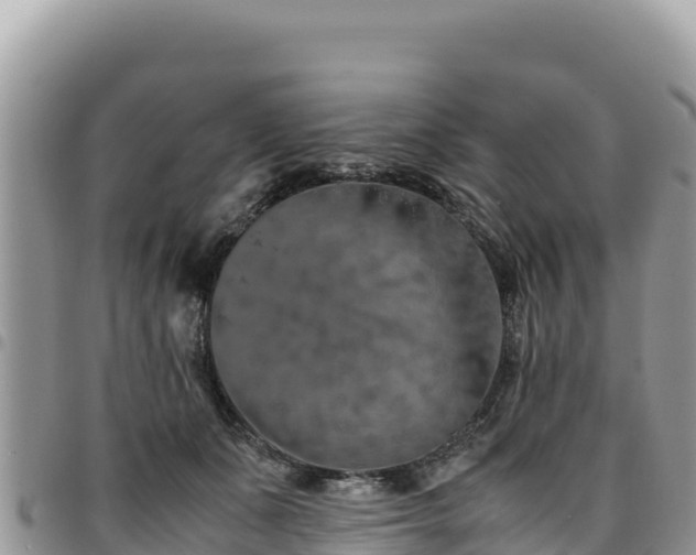 X0000094930511200711291337