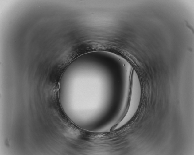 X0000094930513200711291337