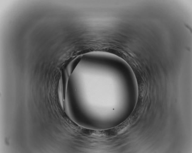 X0000094930515200711291337