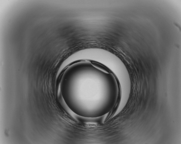 X0000094930516200711291337