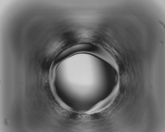 X0000094930517200711291337