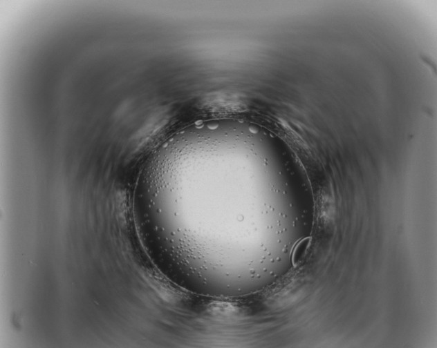 X0000094930519200711291337