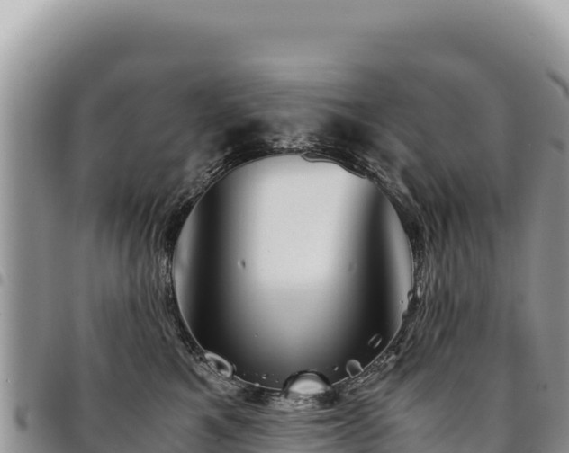 X0000094930521200711291337