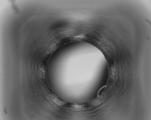 X0000094930522200711291337