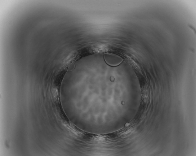 X0000094930523200711291337