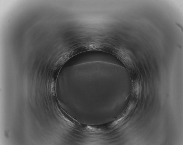 X0000094930526200711291337