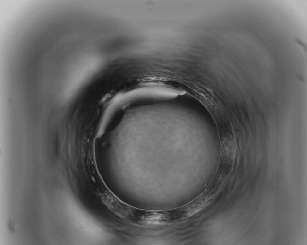 X0000094930527200711291337