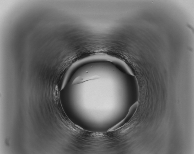 X0000094930528200711291337