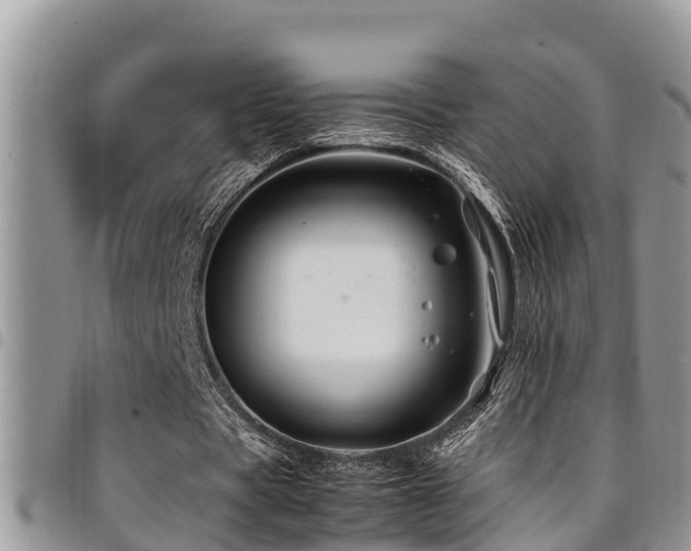 X0000094930529200711291336