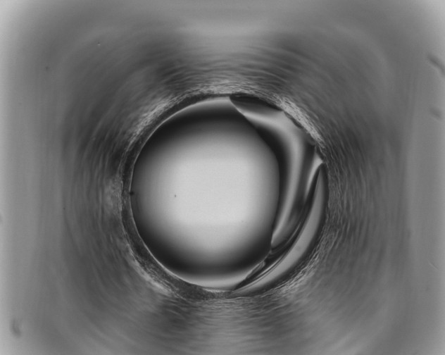 X0000094930530200711291336