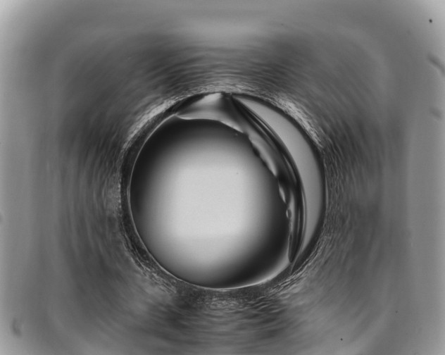 X0000094930531200711291336