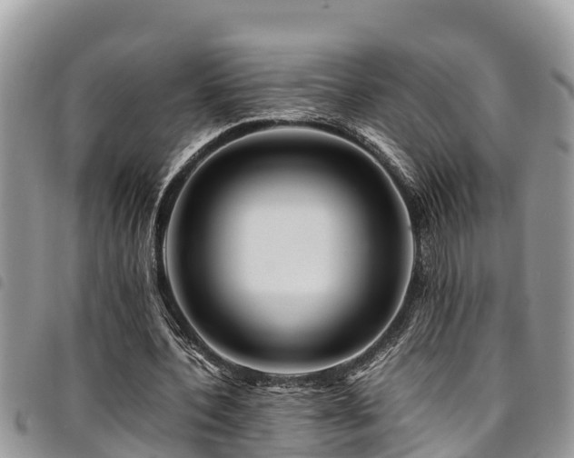 X0000094930532200711291336