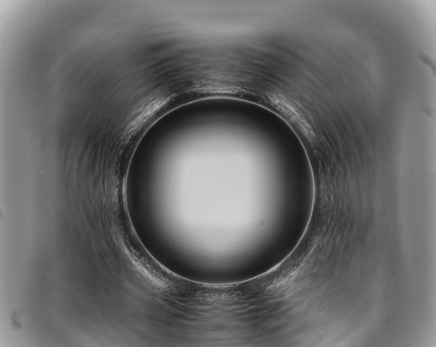 X0000094930533200711291336