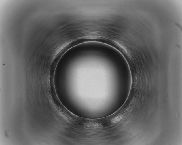 X0000094930535200711291336
